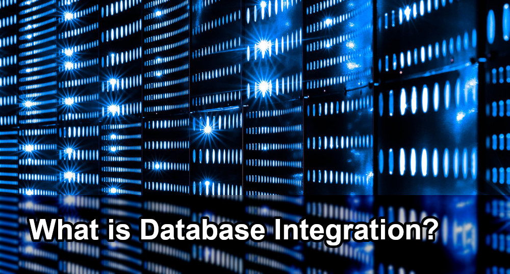 What Is Database Integration? How To Use It In ECommerce?